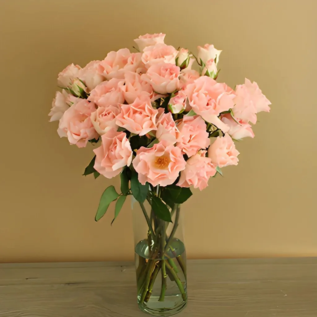 Anastasia Pink Spray Roses
