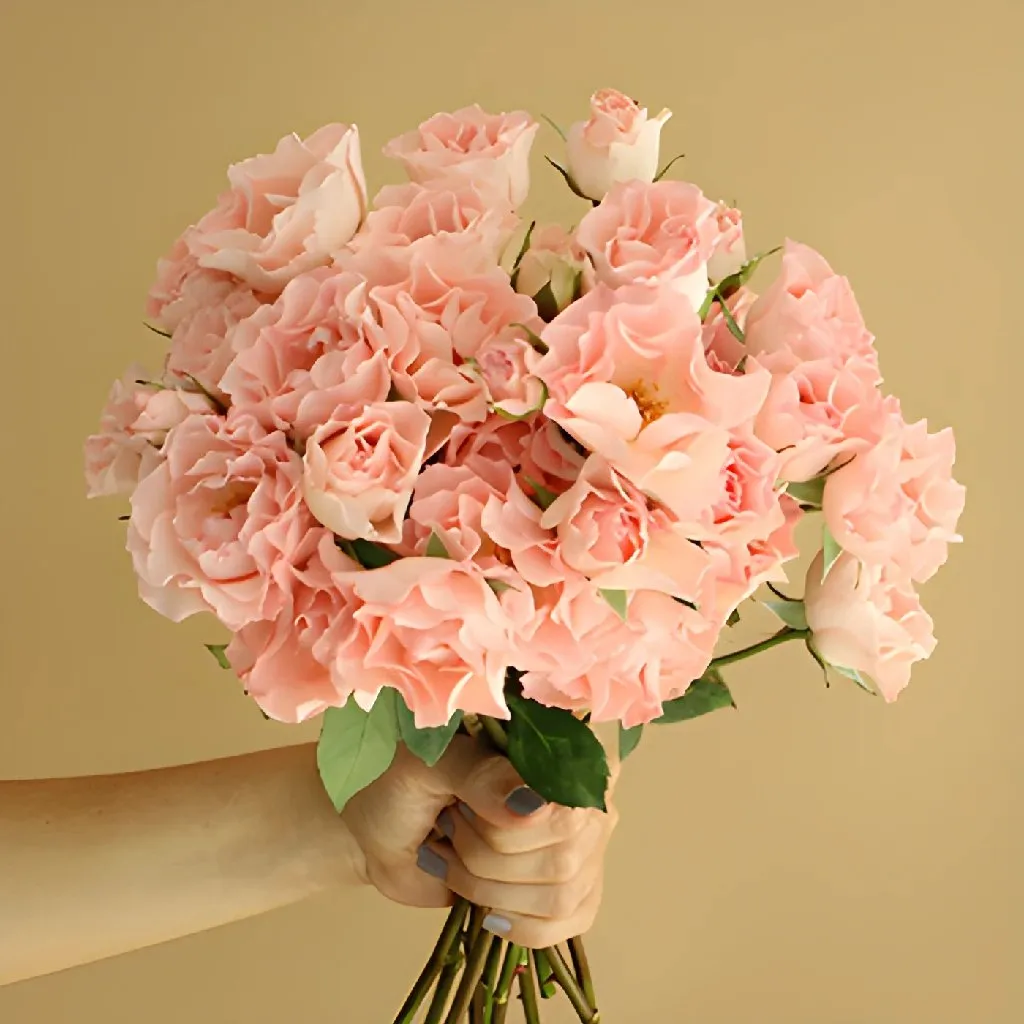 Anastasia Pink Spray Roses