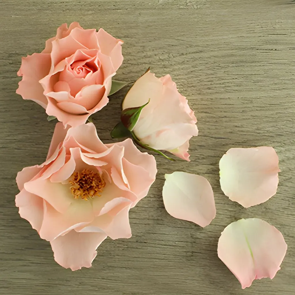 Anastasia Pink Spray Roses
