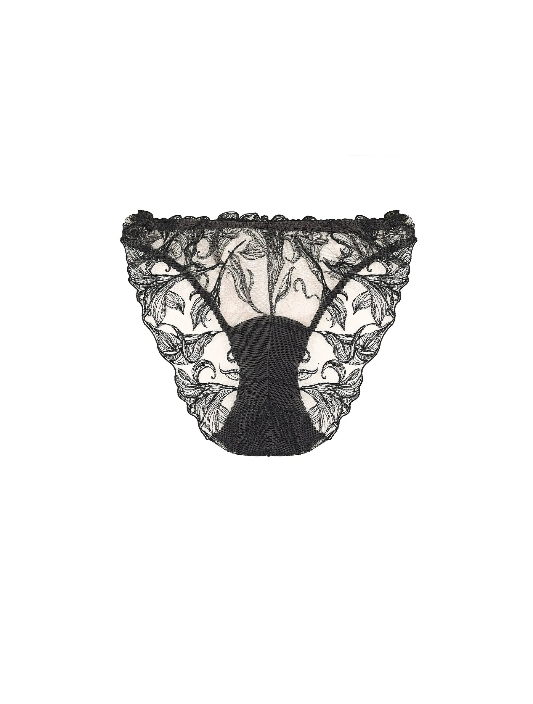 Audrey Embroidered Brief