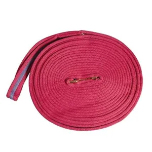 Kincade 2 Tone Padded Lunge Rein