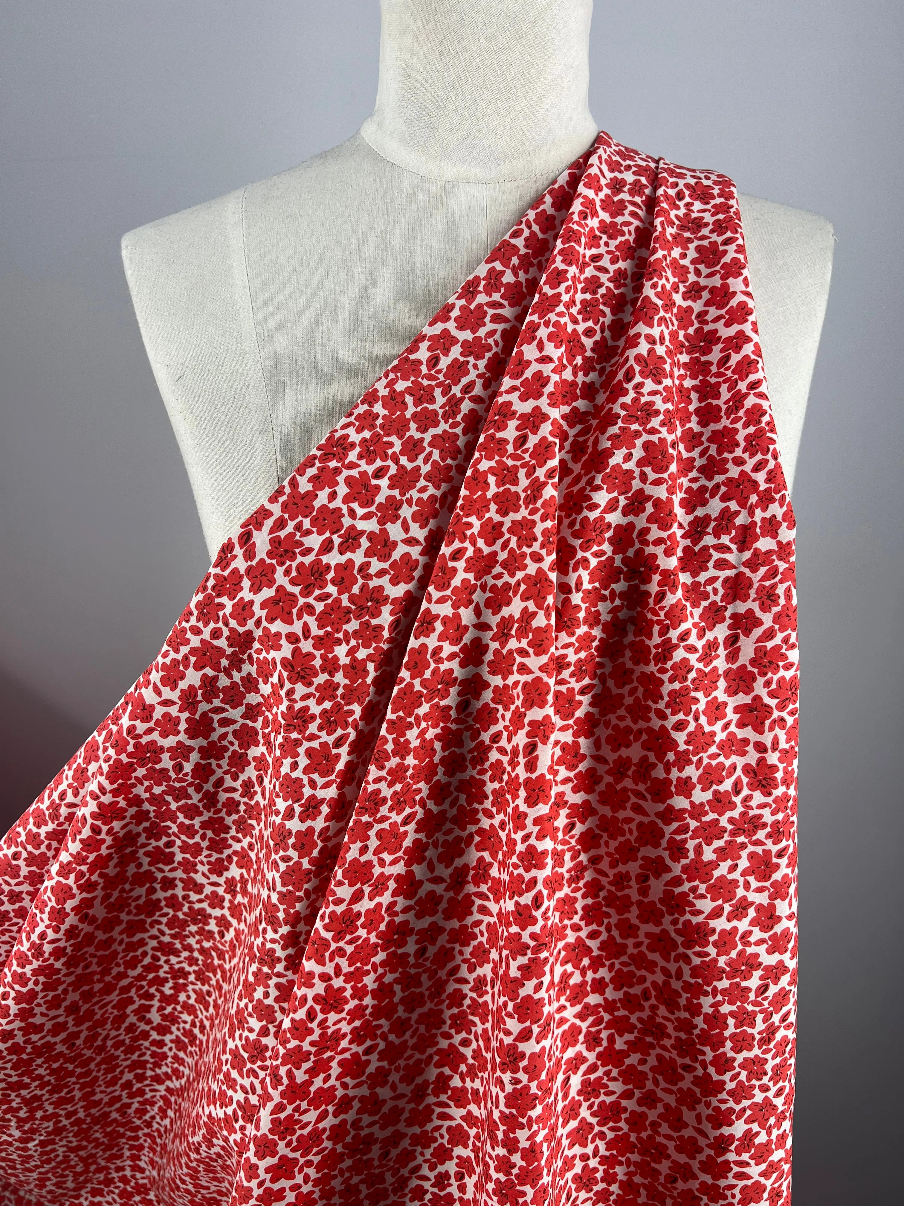Printed Cotton - Red Rain - 145cm